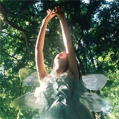 我用休书包烤鸡